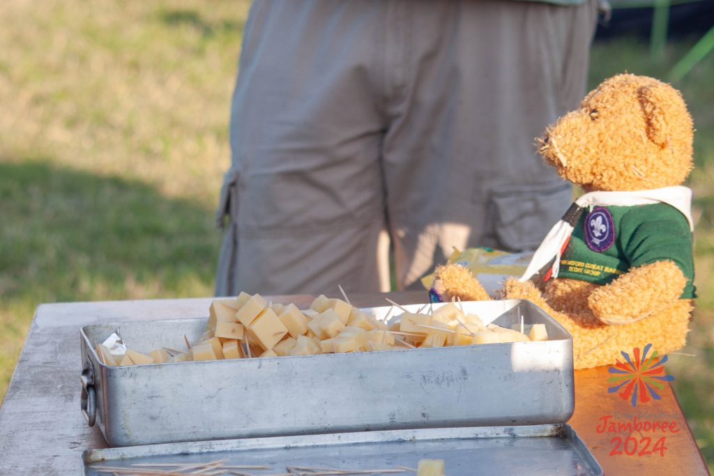 A bear sitting in front of a large container full of cheese chunks on cocktail sticks. 