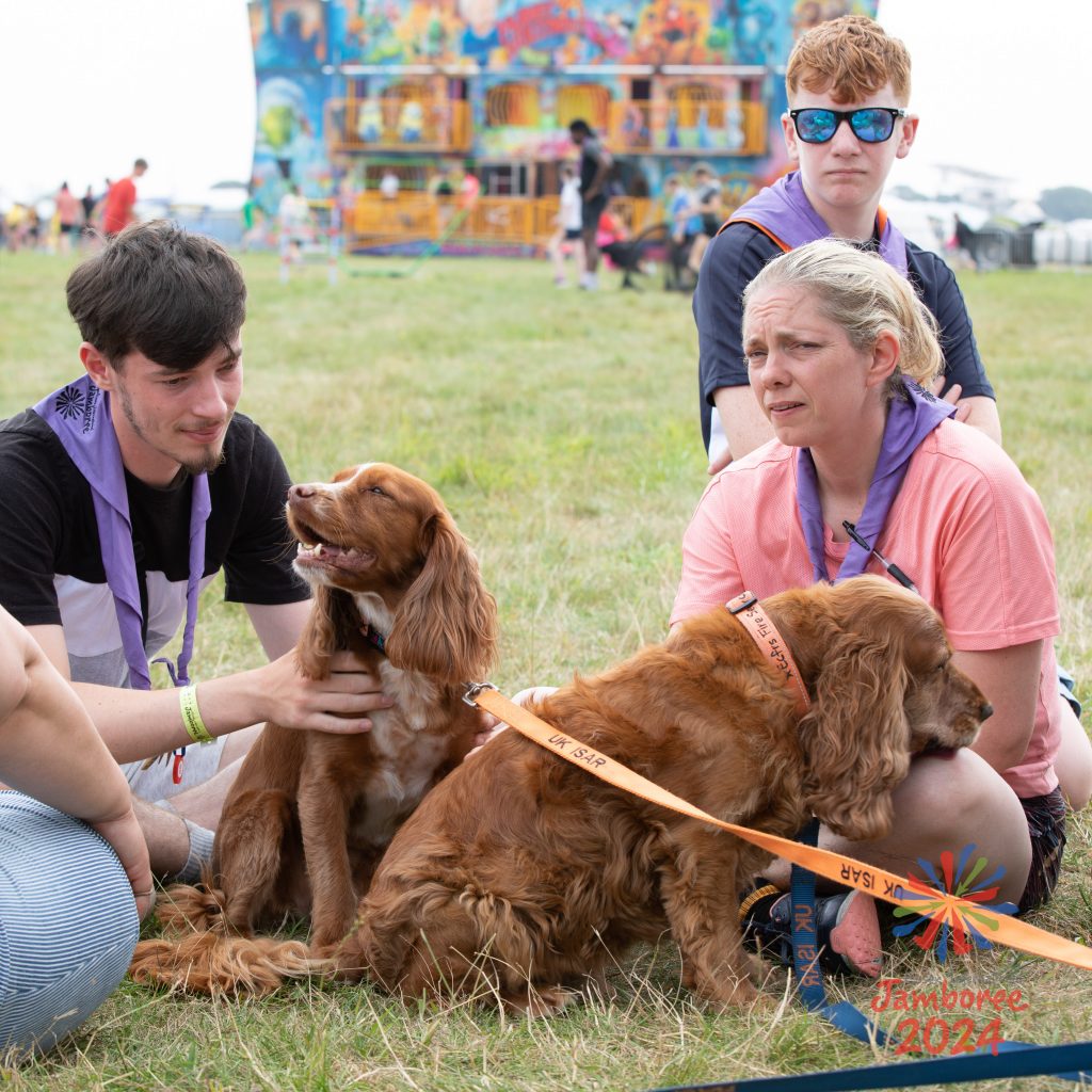 Two UK International Search and Rescue dogs, meeting some participants.